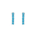 ORECCHINI RODIATI CON CUBIC ZIRCONIA